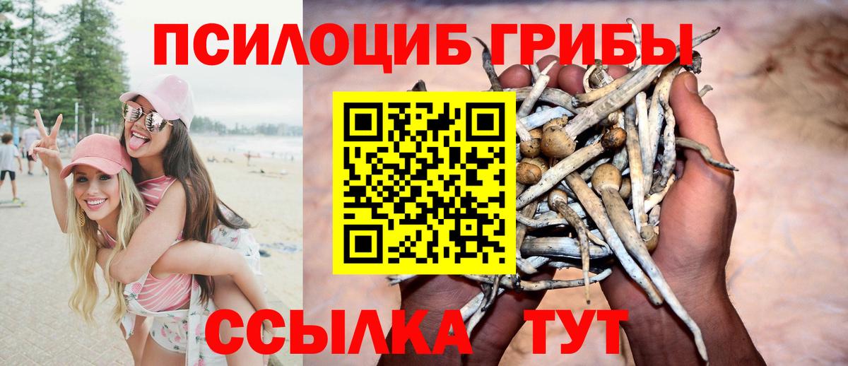 Псилоцибиновые грибы ЛСД Лянтор