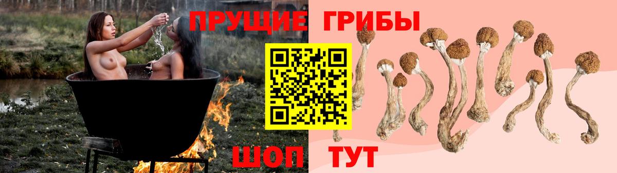 сколько стоит  Вход с VPN  Лянтор  Псилоцибиновые грибы Psilocybine cubensis 