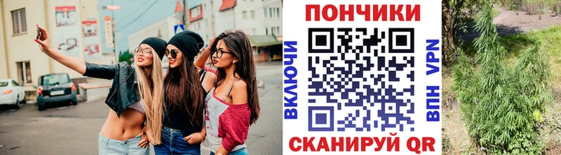 Шишки марихуана SATIVA & INDICA ОМГ ОМГ как зайти Лянтор как найти закладки